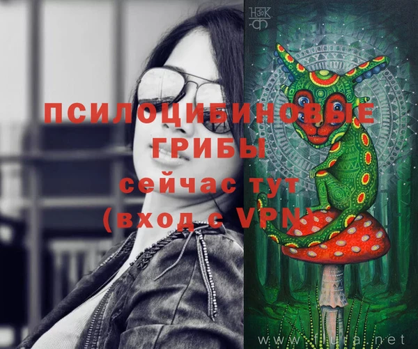 каннабис Аркадак